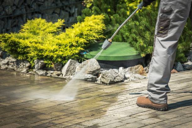Best Spring Cleaning  in Midway North, TX